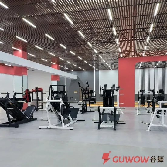 Attrezzatura per palestra domestica Panca multifunzione regolabile pieghevole per pesi Panca con manubri per interni Set di rack per sit-up per fitness Inclinazione e declino